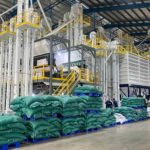 DỰ ÁN LẮP ĐẶT GẠO LONG AN